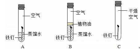 實驗圖